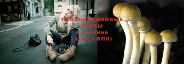 синтетический гашиш Арсеньев