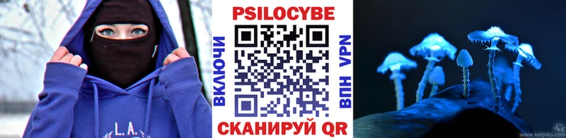 магазин  наркотиков  Верхний Уфалей  Псилоцибиновые грибы Magic Shrooms 