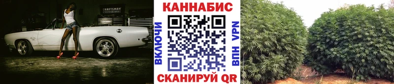 Бошки марихуана планчик Верхний Уфалей